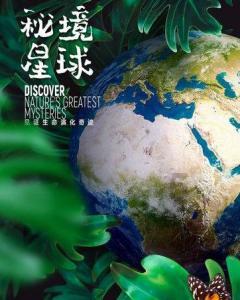 燕窝可以每天都吃吗- 专业的问答类网站